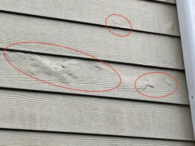 Rot-Proof From the Ground Up